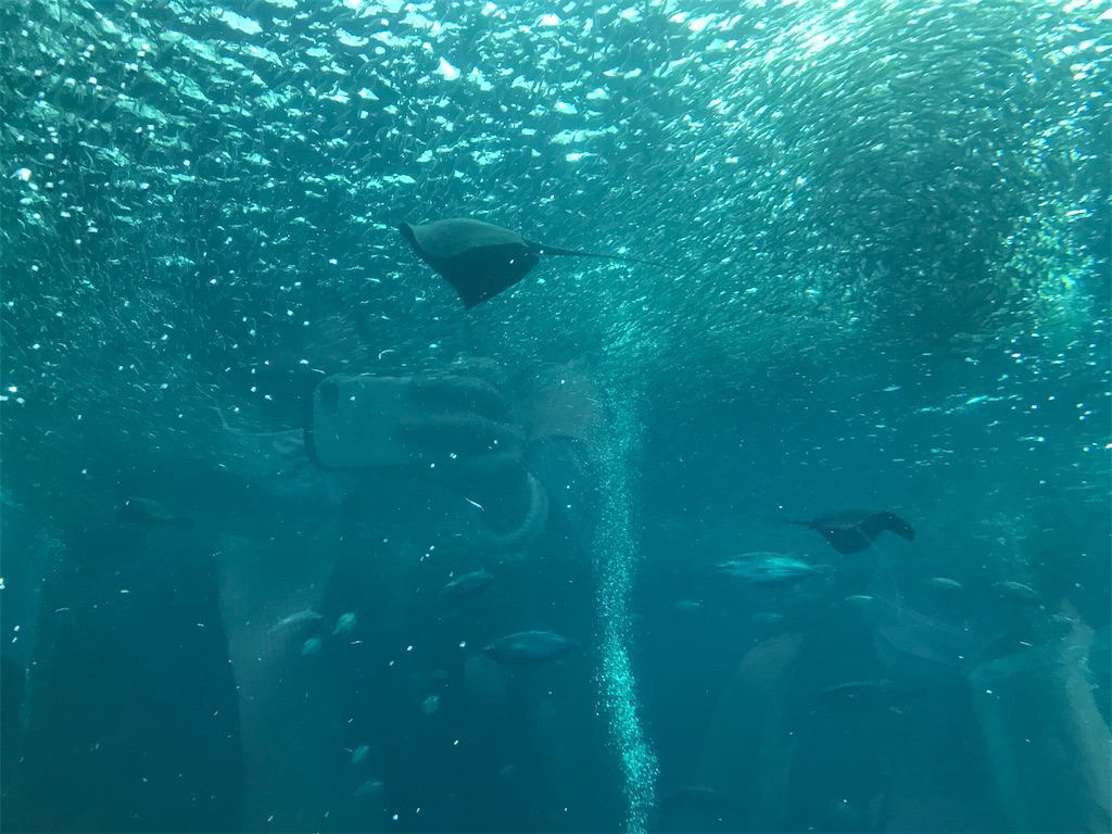 f:id:tabi-to-onsen:20201014200021j:image