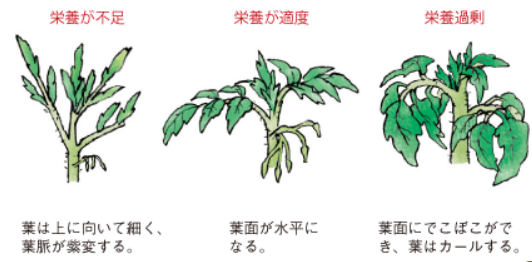 f:id:tabi-work:20200707141123p:plain f:id:tabi-work:20200707141123p:plain