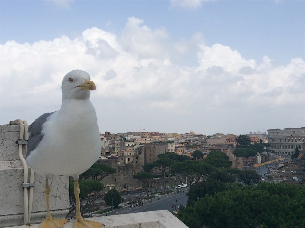 f:id:tabi007:20161230115844j:image