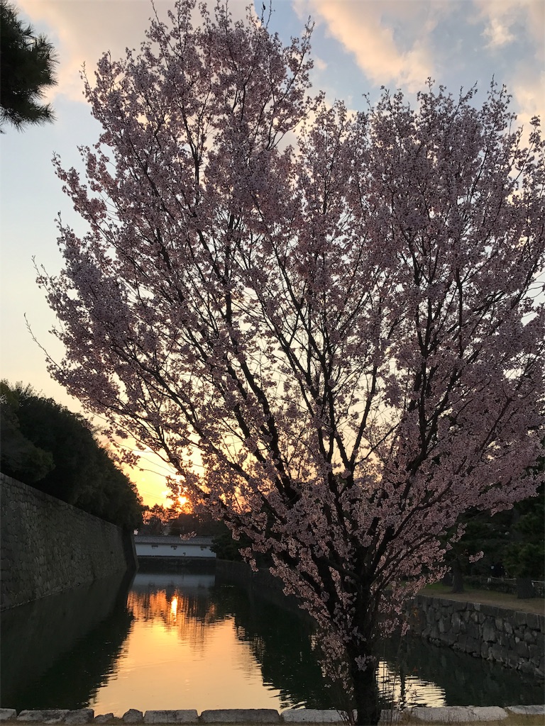 f:id:tabi007:20170404184807j:plain