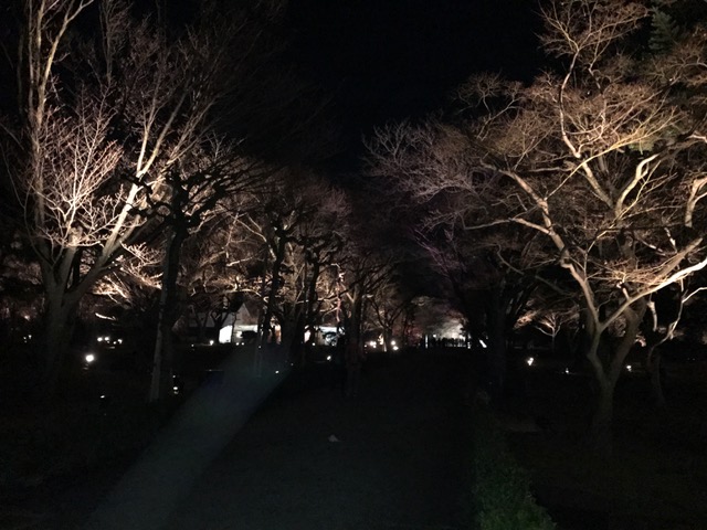 f:id:tabi007:20170404190010j:plain