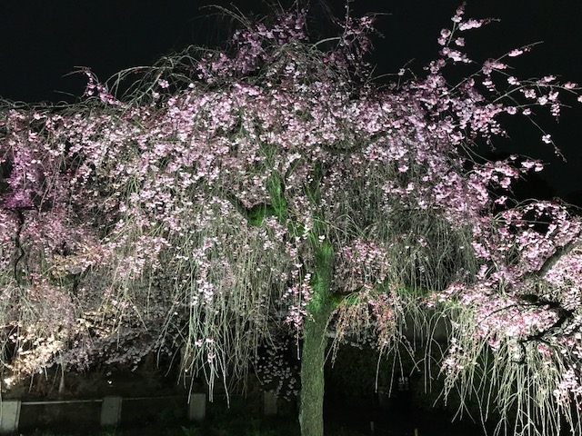 f:id:tabi007:20170412194017j:plain