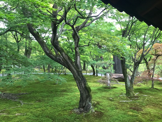 f:id:tabi007:20170724234840j:plain