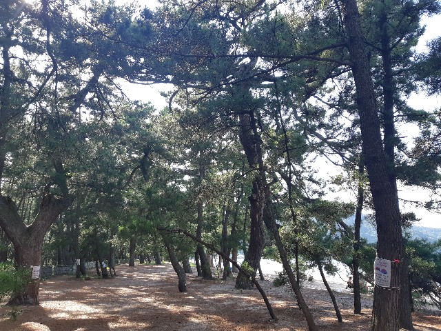 f:id:tabi_gahama:20220827205002j:image f:id:tabi_gahama:20220827205002j:image