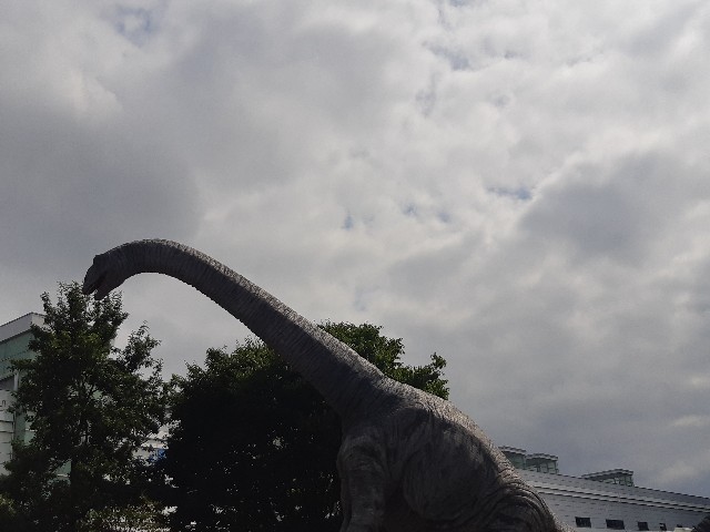 f:id:tabi_gahama:20221003215035j:image f:id:tabi_gahama:20221003215035j:image
