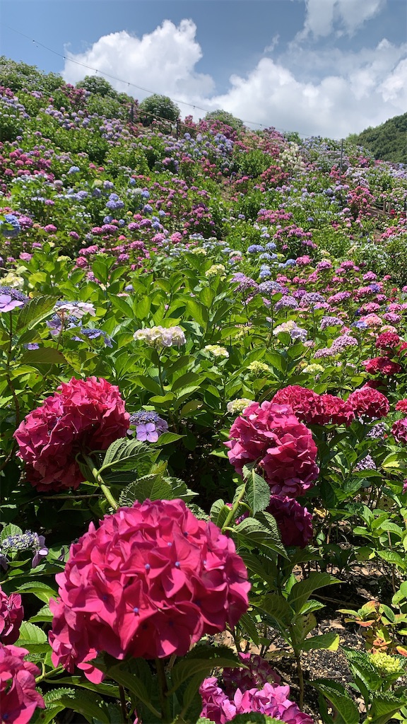 f:id:tabi_jyo_1999:20210620120703j:image