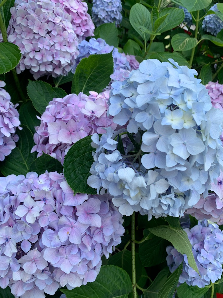 f:id:tabi_jyo_1999:20210620120748j:image