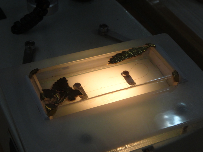 f:id:tabib94:20171229172909j:plain f:id:tabib94:20171229172909j:plain