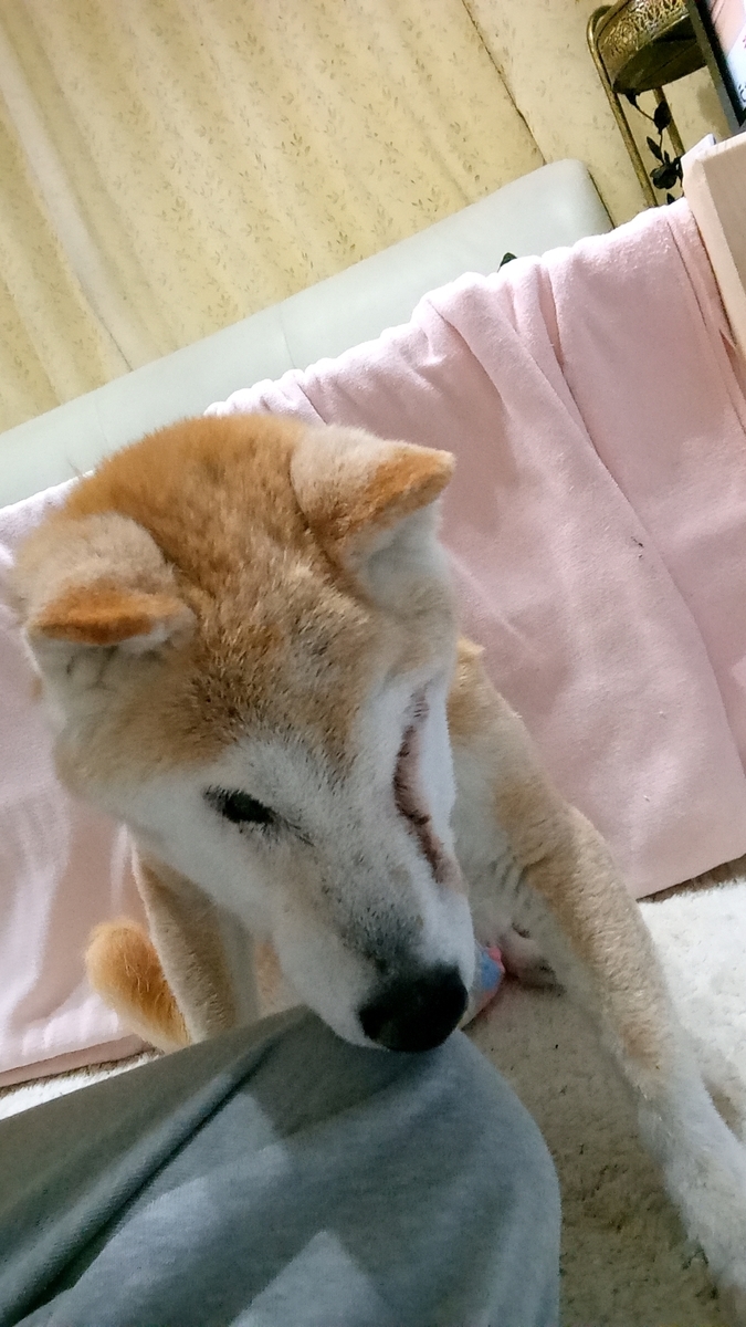 f:id:tabibito19:20210926210734j:plain