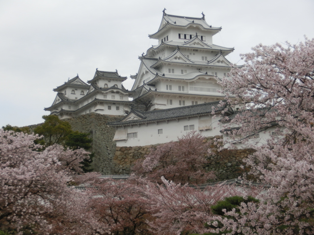 f:id:tabibitokun:20190611163809j:plain f:id:tabibitokun:20190611163809j:plain