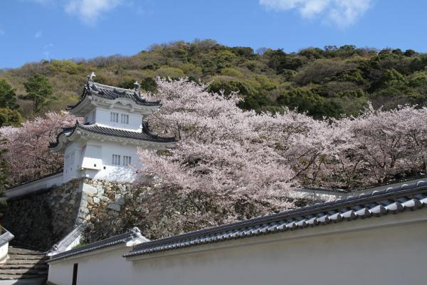 f:id:tabibitokun:20200511161908j:plain f:id:tabibitokun:20200511161908j:plain