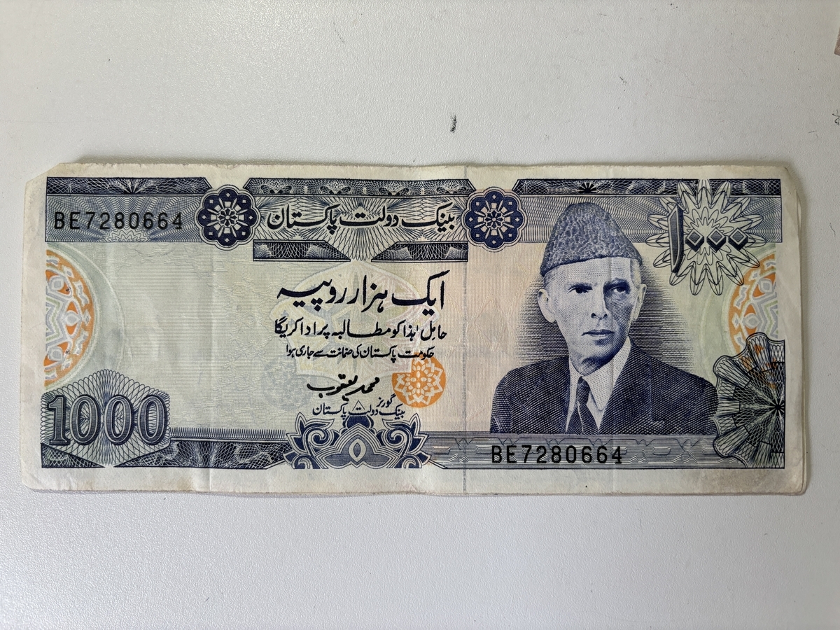 インド・パキスタンひとり旅（2000年） ＜4＞ まだまだ2日目 ついに