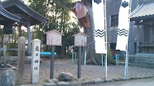 f:id:tabicafe:20200329123853j:plain f:id:tabicafe:20200329123853j:plain