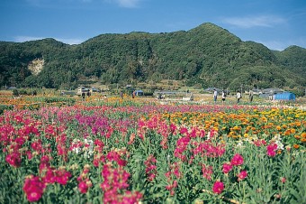 f:id:tabicafe:20200426134222j:plain f:id:tabicafe:20200426134222j:plain