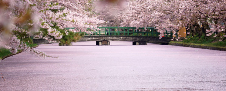 f:id:tabicafe:20200514131630j:plain