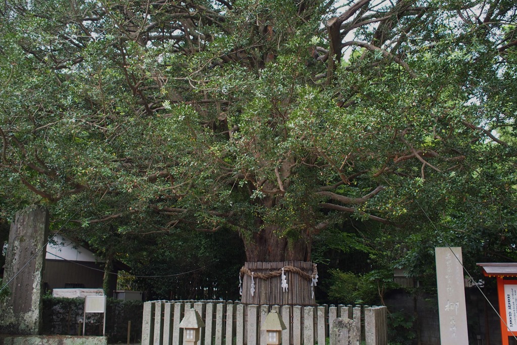 f:id:tabicafe:20200516162543j:plain