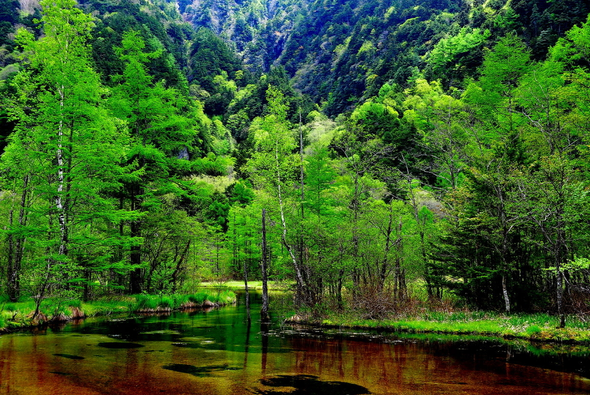 f:id:tabicafe:20200517124829j:plain f:id:tabicafe:20200517124829j:plain