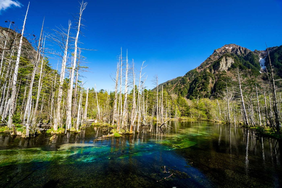 f:id:tabicafe:20200517124953j:plain f:id:tabicafe:20200517124953j:plain