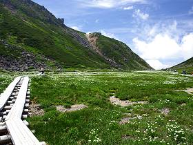 f:id:tabicafe:20200518112223j:plain f:id:tabicafe:20200518112223j:plain