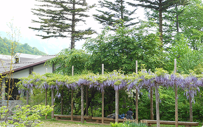f:id:tabicafe:20200520082307p:plain f:id:tabicafe:20200520082307p:plain
