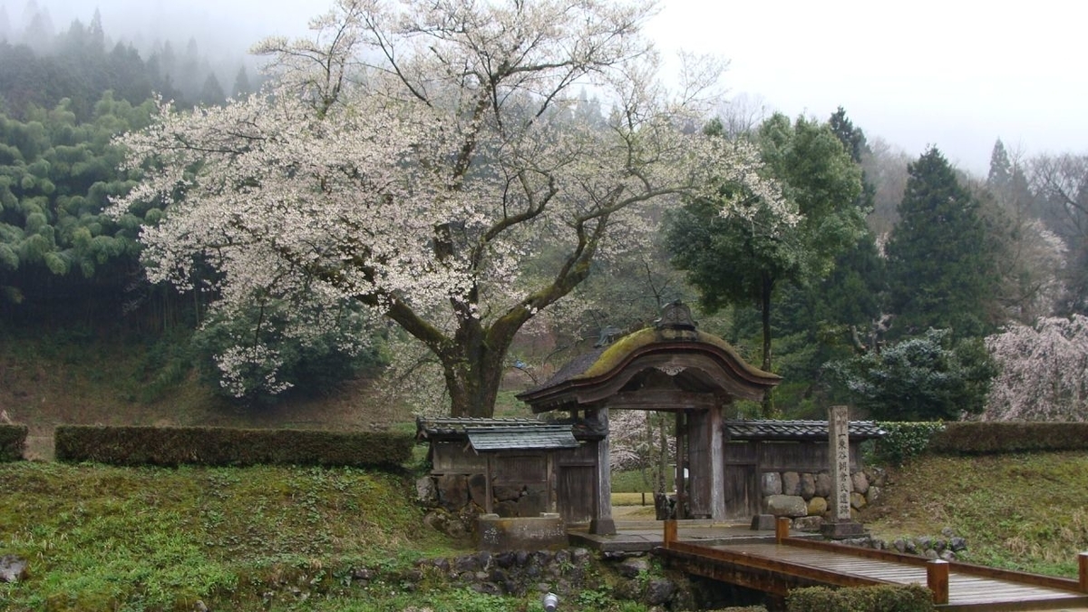 f:id:tabicafe:20200520214238j:plain