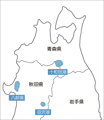 f:id:tabicafe:20200523100317j:plain