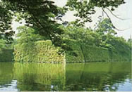 f:id:tabicafe:20200523175947j:plain f:id:tabicafe:20200523175947j:plain