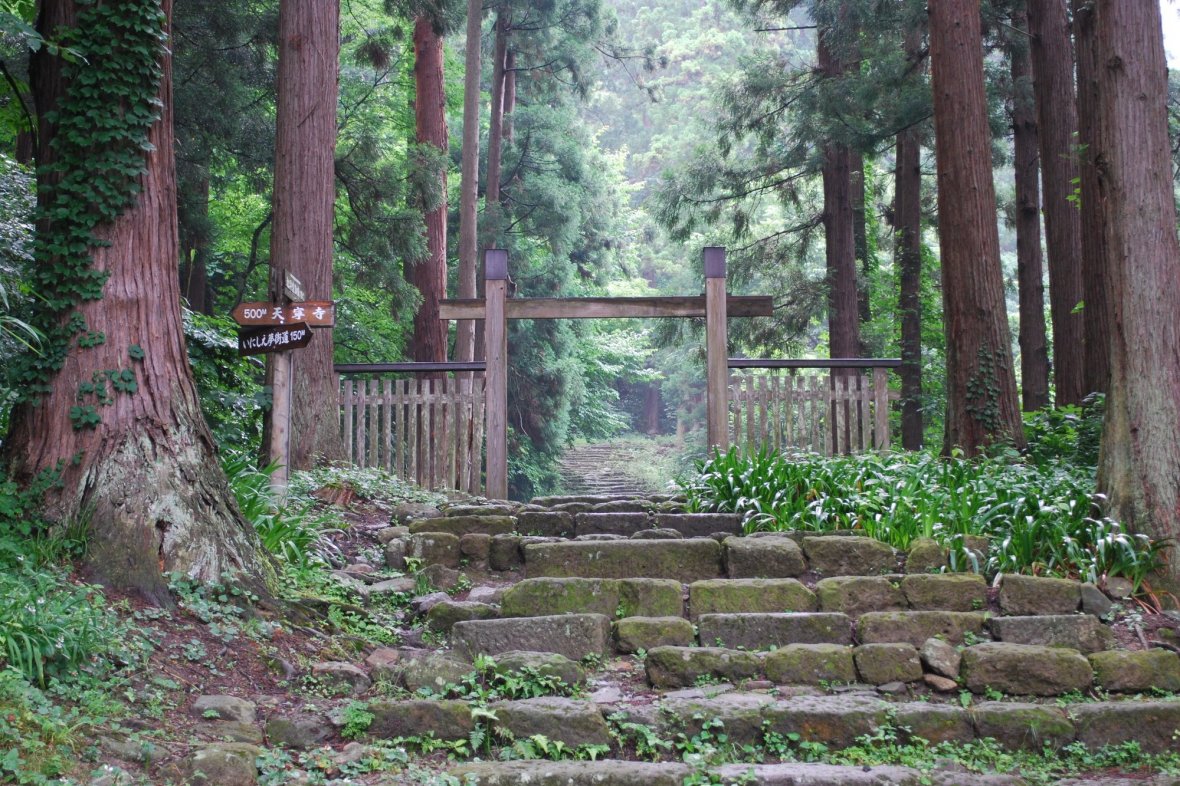 f:id:tabicafe:20200523181232j:plain f:id:tabicafe:20200523181232j:plain
