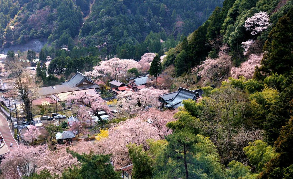f:id:tabicafe:20200526104353j:plain f:id:tabicafe:20200526104353j:plain