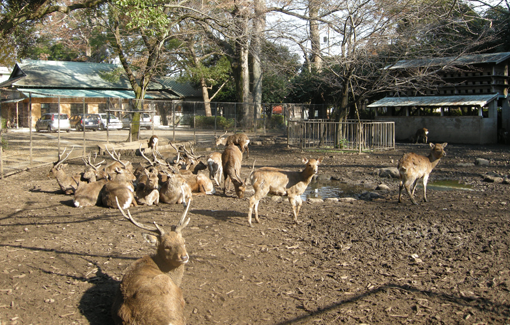 f:id:tabicafe:20200527145316p:plain