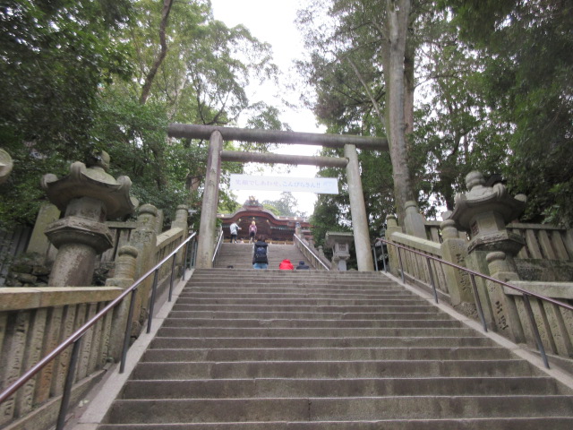 f:id:tabicafe:20200602115841j:plain f:id:tabicafe:20200602115841j:plain