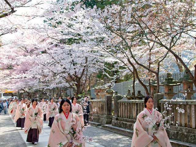f:id:tabicafe:20200602121825j:plain