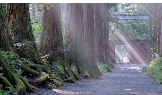 f:id:tabicafe:20200607084641p:plain f:id:tabicafe:20200607084641p:plain