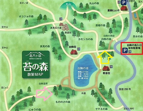 f:id:tabicafe:20200609074445j:plain