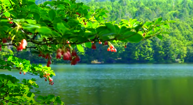 f:id:tabicafe:20200609075925p:plain f:id:tabicafe:20200609075925p:plain