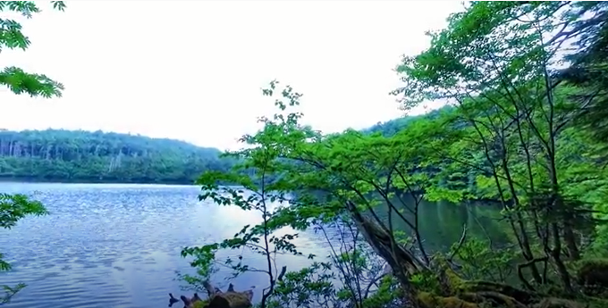 f:id:tabicafe:20200609080402p:plain f:id:tabicafe:20200609080402p:plain