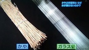 f:id:tabicafe:20200610173444j:plain