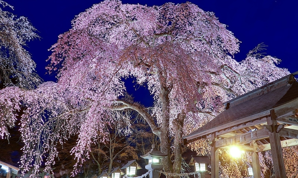 f:id:tabicafe:20200619145700j:plain f:id:tabicafe:20200619145700j:plain