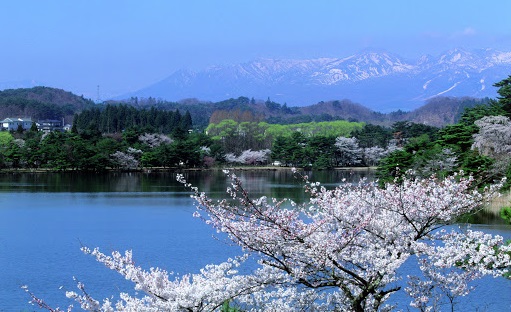 f:id:tabicafe:20200619151126j:plain f:id:tabicafe:20200619151126j:plain