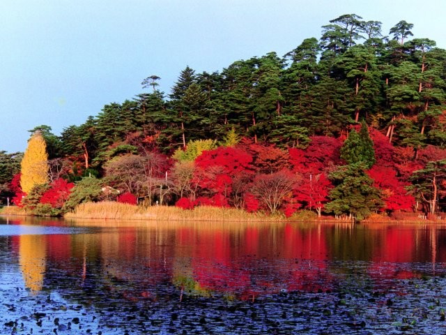 f:id:tabicafe:20200620055604j:plain f:id:tabicafe:20200620055604j:plain