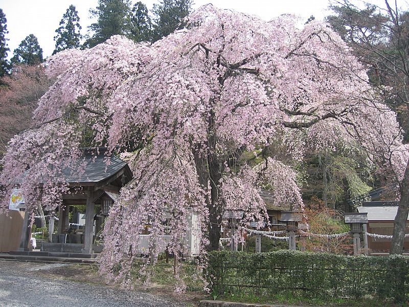 f:id:tabicafe:20200620070811j:plain f:id:tabicafe:20200620070811j:plain