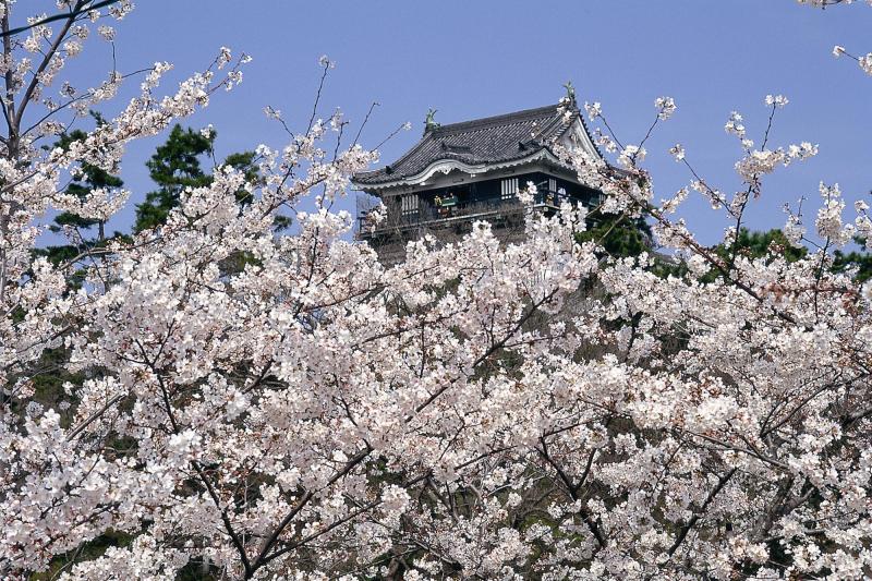 f:id:tabicafe:20200623164943j:plain f:id:tabicafe:20200623164943j:plain