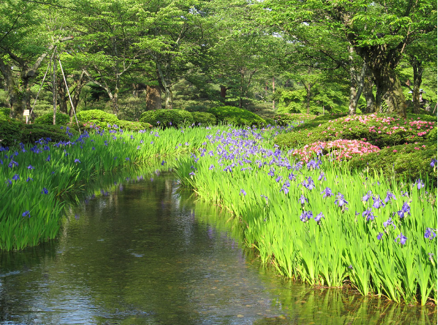 f:id:tabicafe:20200628121358p:plain f:id:tabicafe:20200628121358p:plain