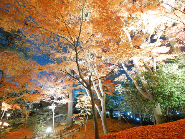f:id:tabicafe:20200628124832p:plain f:id:tabicafe:20200628124832p:plain