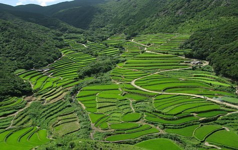 f:id:tabicafe:20200702193532j:plain f:id:tabicafe:20200702193532j:plain