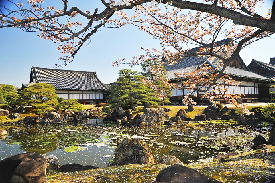 f:id:tabicafe:20200706174649p:plain