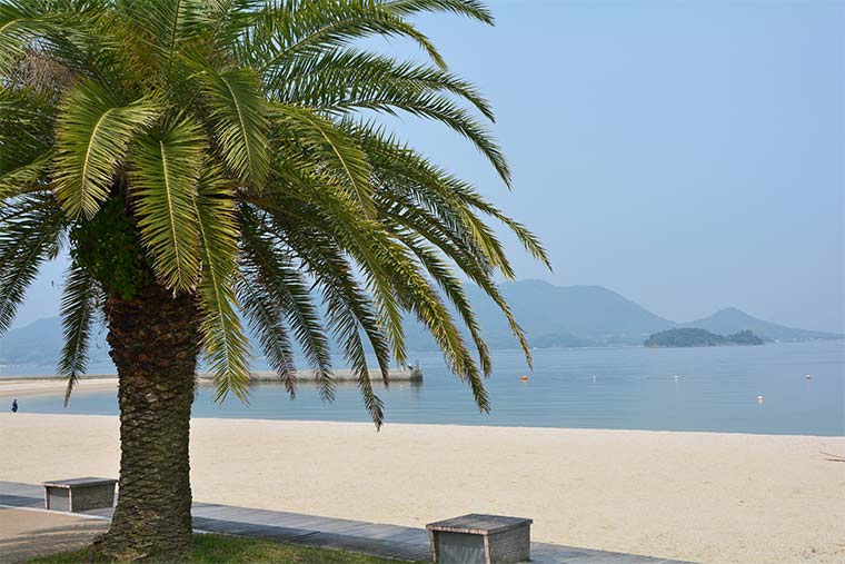 f:id:tabicafe:20200709094202j:plain