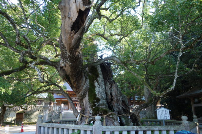 f:id:tabicafe:20200709172836j:plain
