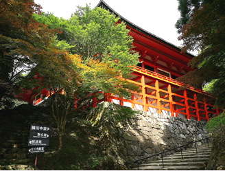 f:id:tabicafe:20200713115329p:plain f:id:tabicafe:20200713115329p:plain
