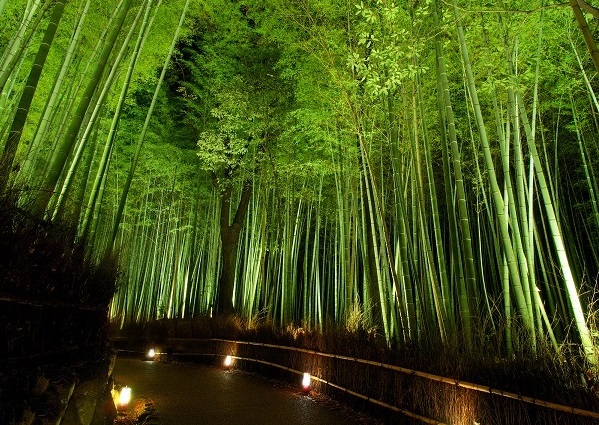 f:id:tabicafe:20200722072114j:plain f:id:tabicafe:20200722072114j:plain